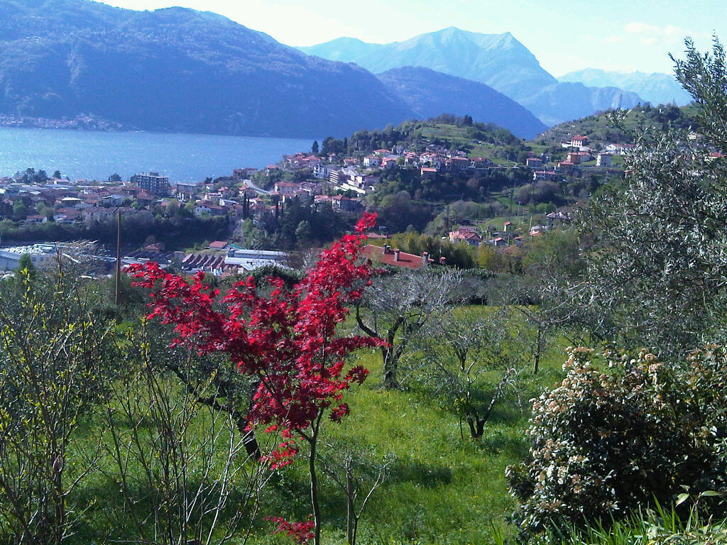 Agriturismo Crotto Di Somana Mandello del Lario Exteriér fotografie